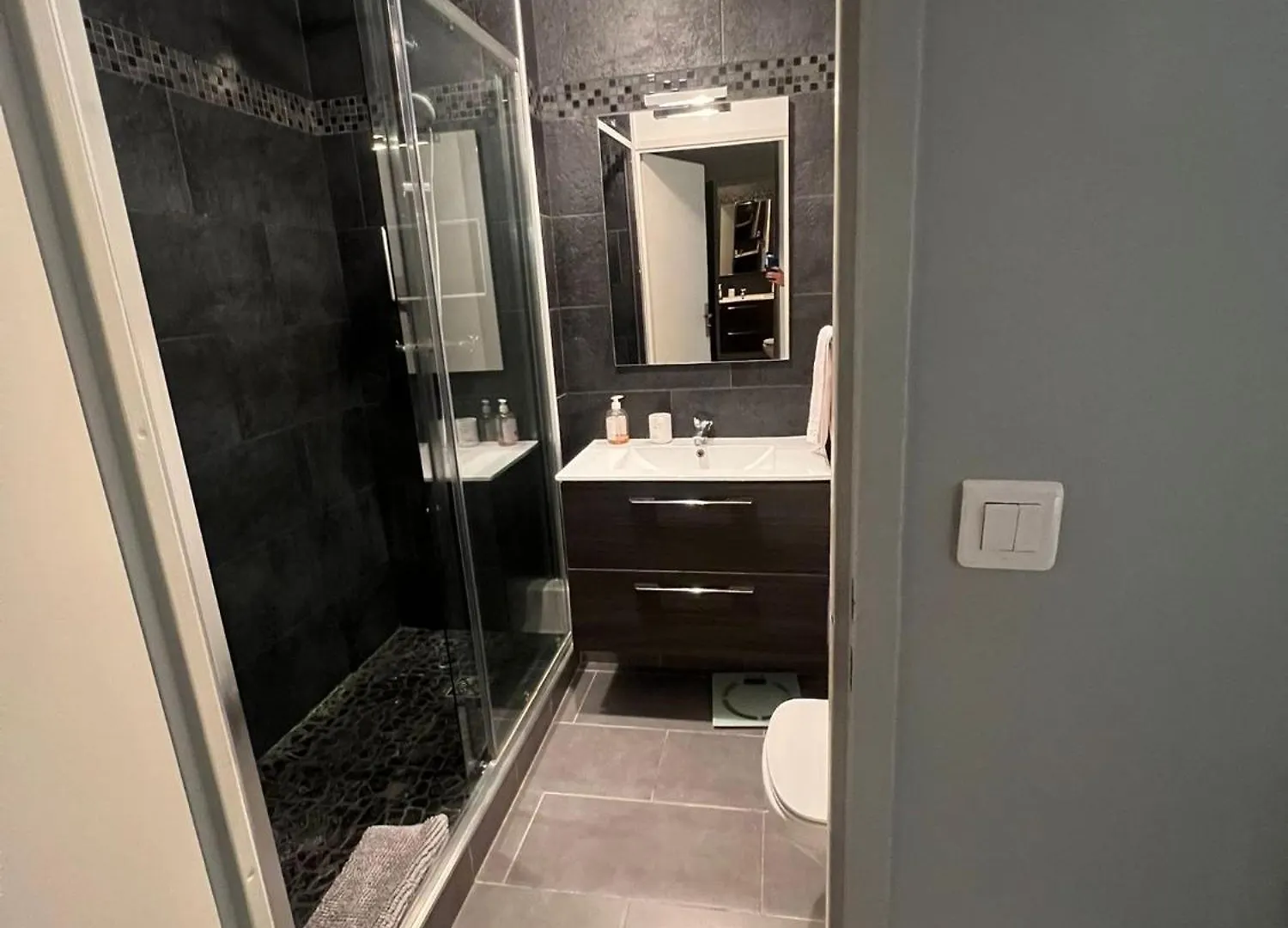 Apartment Studio Lumineux Avec Terrasse Villeurbanne France