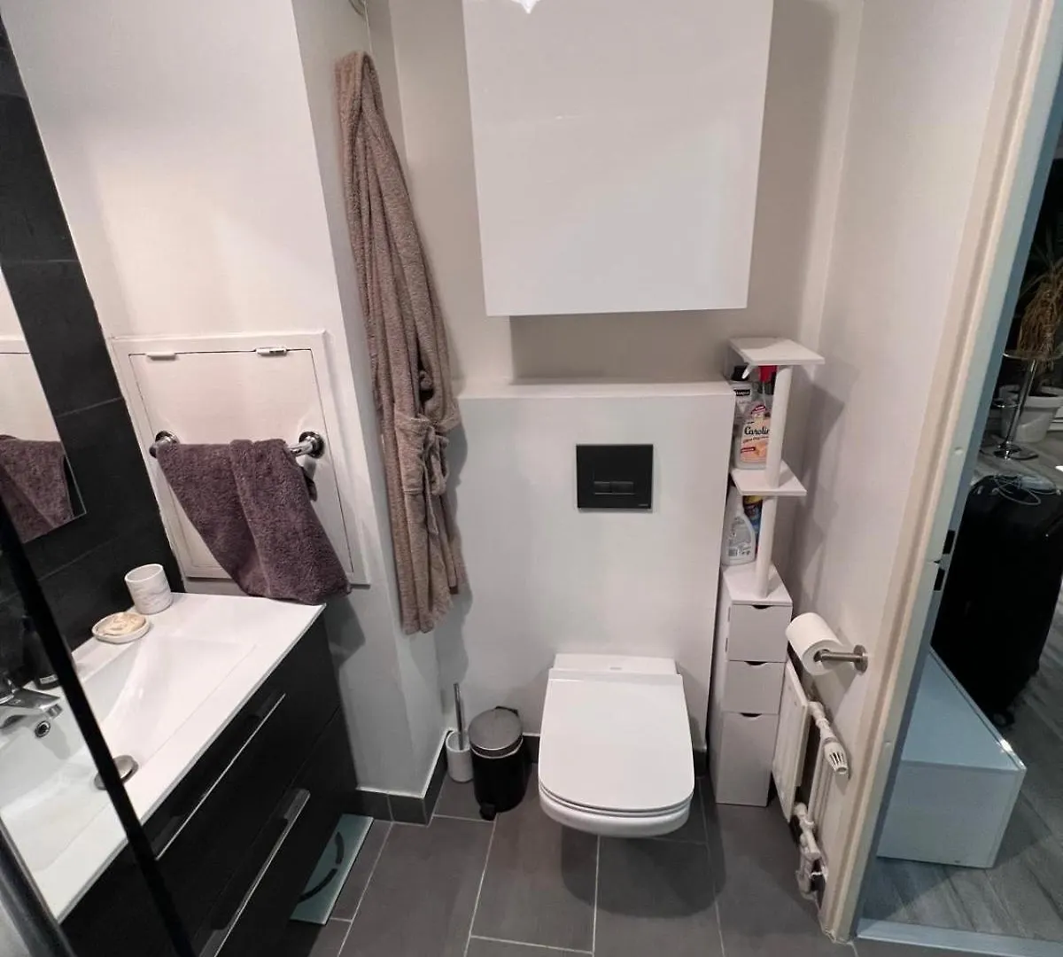 Apartment Studio Lumineux Avec Terrasse Villeurbanne